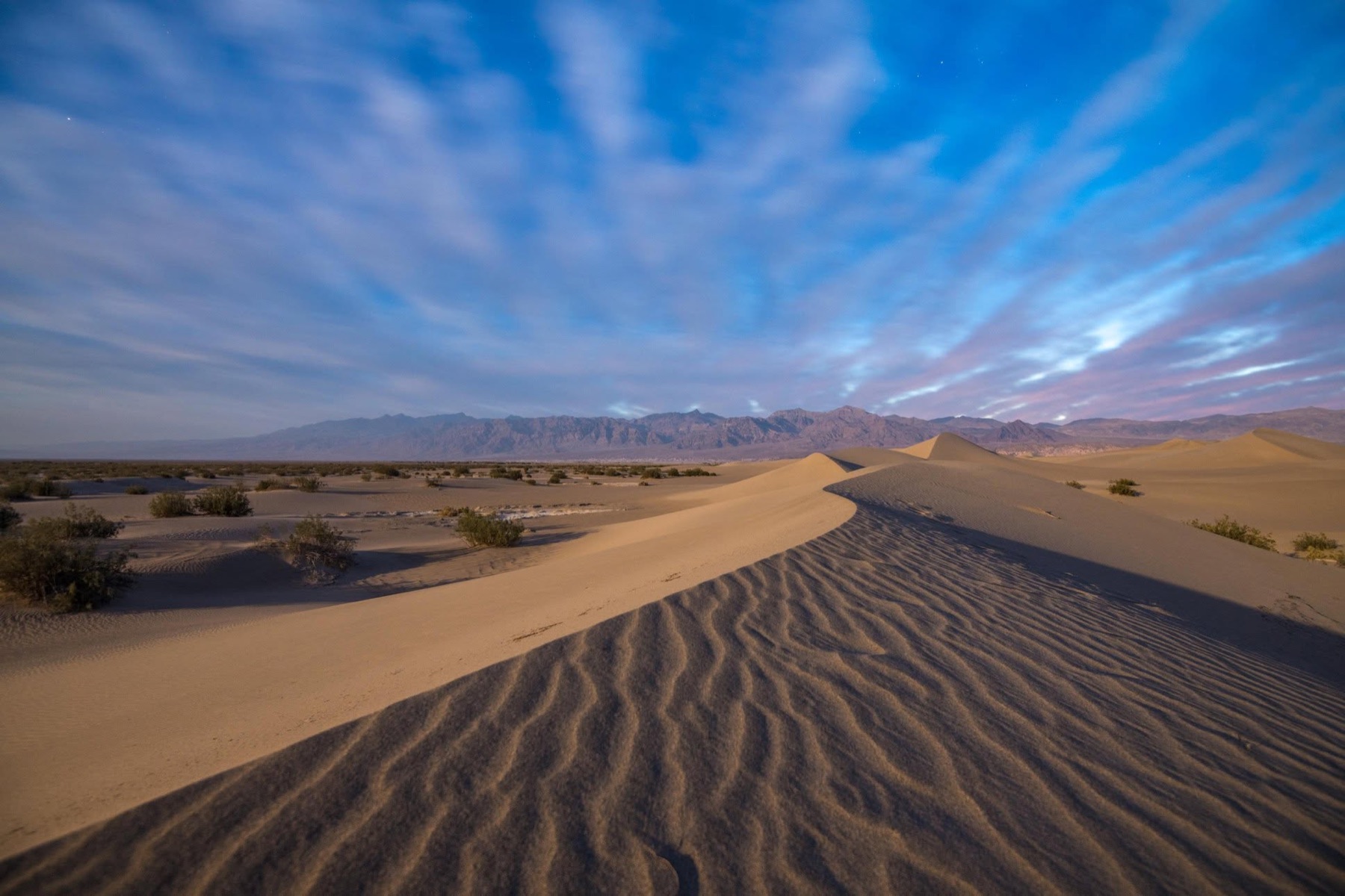 Wind-rippled sand dunes beneath a blue and rose morning sky
