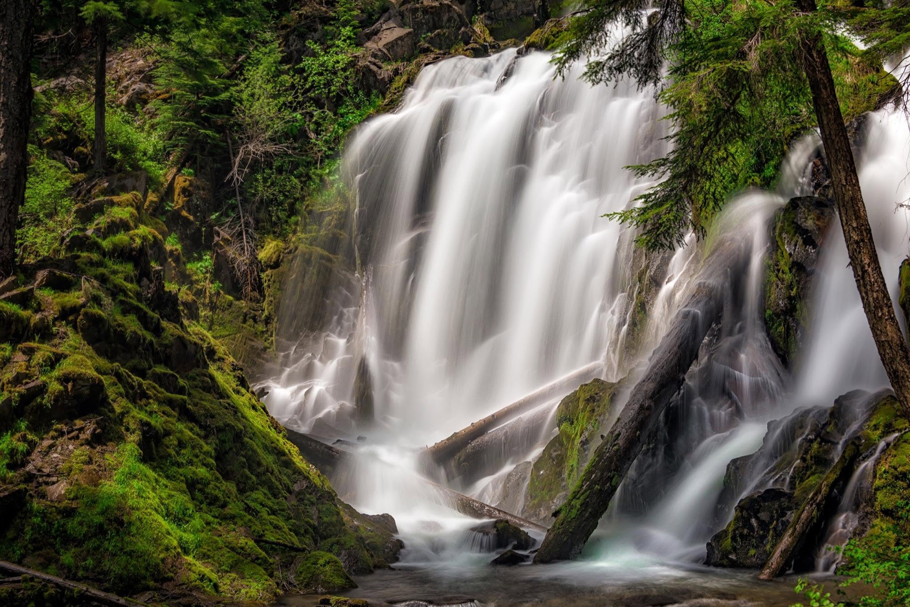 A broad white waterfall pouring through dense green Oregon forest